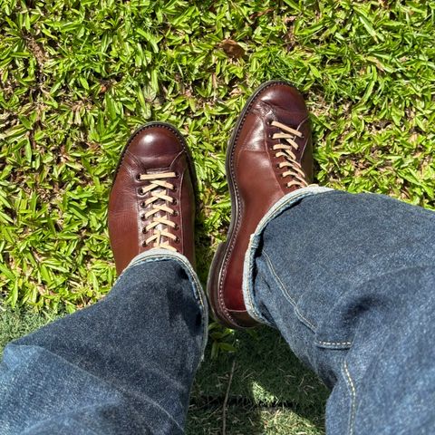 Brother Bridge Henry in Dutch Vintage Calf