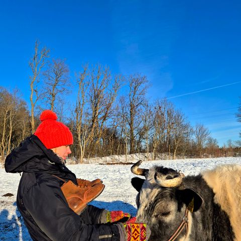 Urban Shepherd Country in Hand-buffed Portuguese top-grain Cowhide Leather, 2,2mm thick