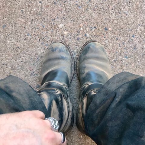 Red Wing 2990 in Black Harness (Oil Tanned)