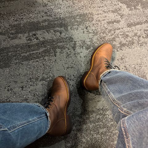 Junkard SC2078 in Matte coffee Brown