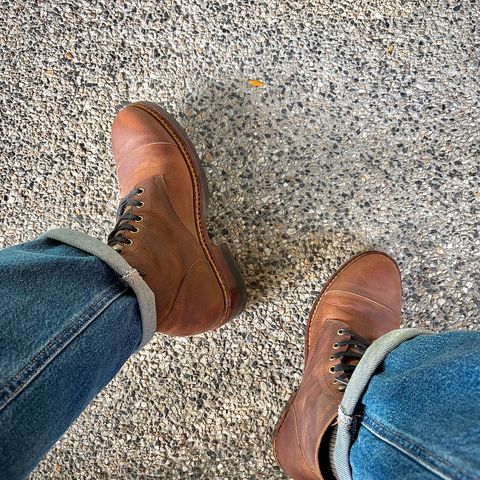 Junkard SC2078 in Matte coffee Brown