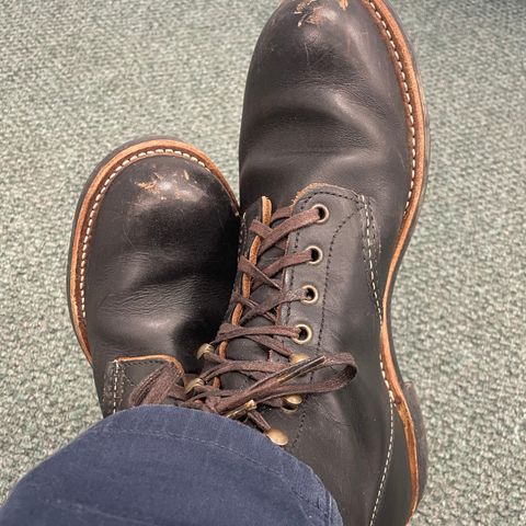 Red Wing Blacksmith in S.B. Foot Black Prairie