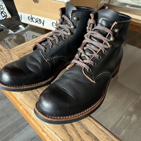Red Wing Blacksmith in S.B. Foot Black Prairie