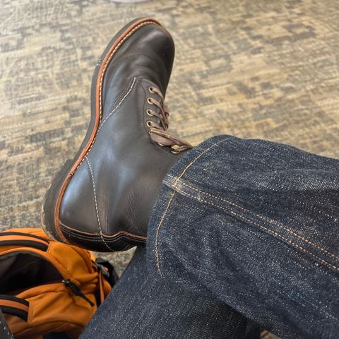 Red Wing Blacksmith in S.B. Foot Black Prairie