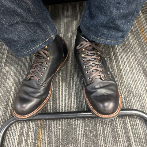 Red Wing Blacksmith in S.B. Foot Black Prairie