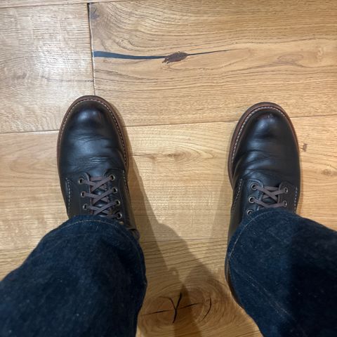 Red Wing Blacksmith in S.B. Foot Black Prairie
