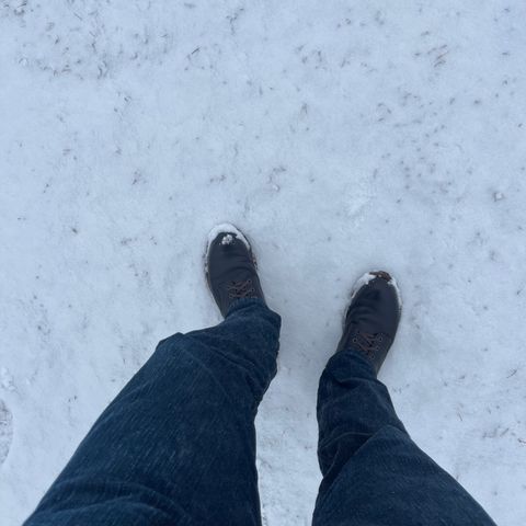 Red Wing Blacksmith in S.B. Foot Black Prairie