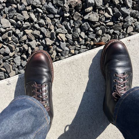 Red Wing Blacksmith in S.B. Foot Black Prairie