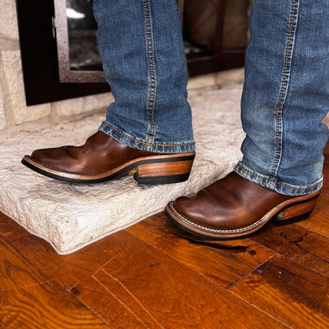 Nicks Palouse in Italian Brown Cypress