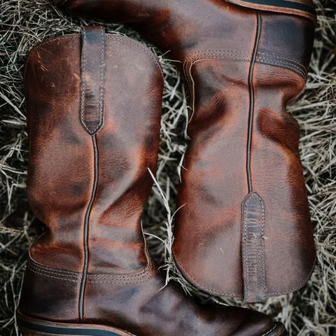 Nicks Palouse in Italian Brown Cypress