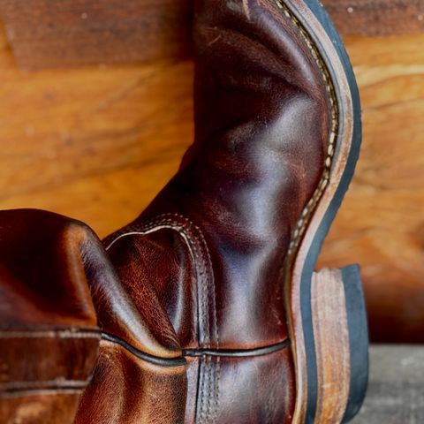 Nicks Palouse in Italian Brown Cypress