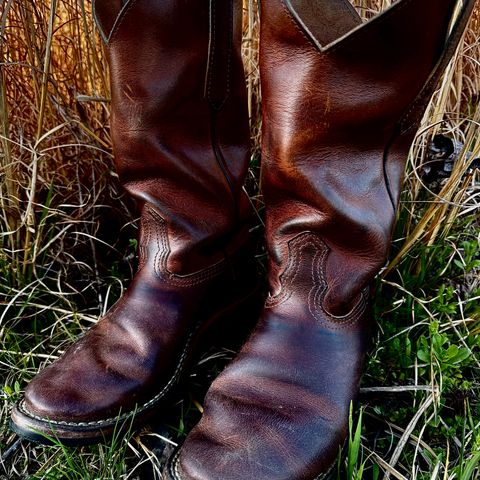 Nicks Palouse in Italian Brown Cypress