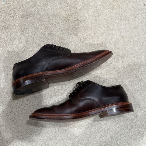 Alden Plain Toe Blucher in Horween Brown Chromexcel