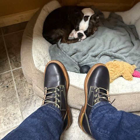 Truman Plain Toe Boot in Black Teacore