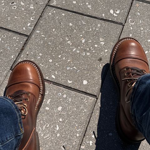 Nicks Americana in Italian Brown Cypress