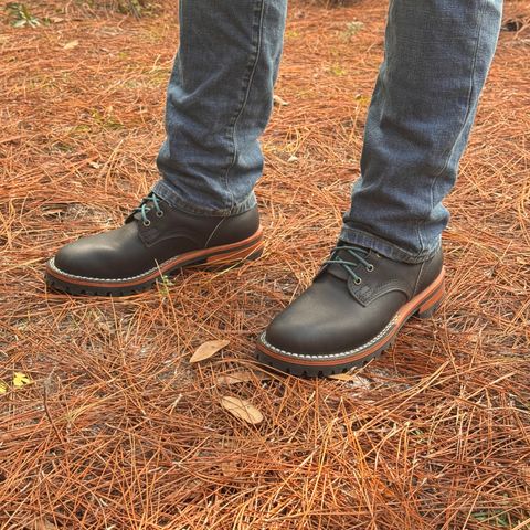 Nicks Overlander in Black Chromepak