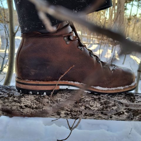 Viberg Pachena Bay in Horween Rowdy Dachshund