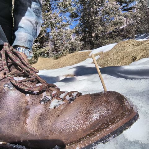Viberg Pachena Bay in Horween Rowdy Dachshund