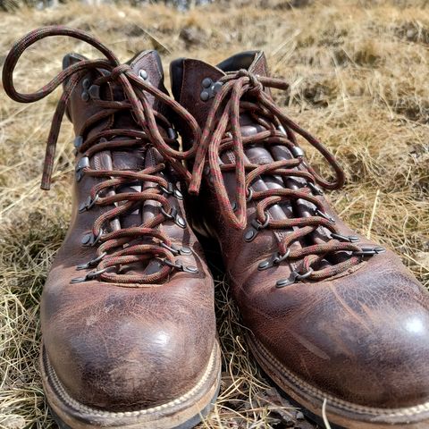 Viberg Pachena Bay in Horween Rowdy Dachshund
