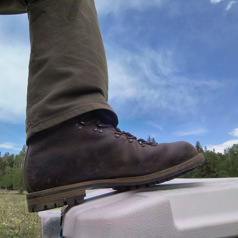 Viberg Pachena Bay in Horween Rowdy Dachshund