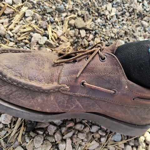 View photo of Russell Moccasin Co. Unknown Model in Law Tanning Cognac Big Horn Shrunken Bison