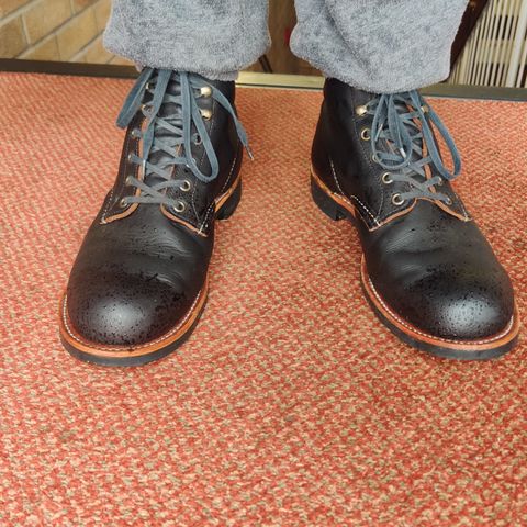 Red Wing Blacksmith in S.B. Foot Black Prairie