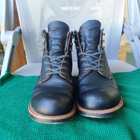 Red Wing Blacksmith in S.B. Foot Black Prairie