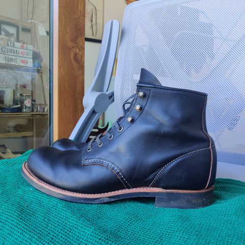 Red Wing Blacksmith in S.B. Foot Black Prairie