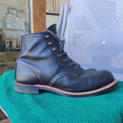 Red Wing Blacksmith in S.B. Foot Black Prairie
