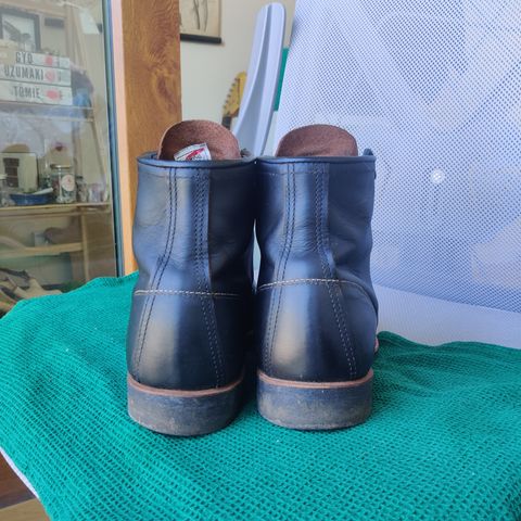 Red Wing Blacksmith in S.B. Foot Black Prairie