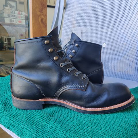 Red Wing Blacksmith in S.B. Foot Black Prairie