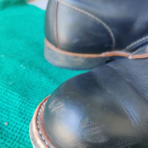 Red Wing Blacksmith in S.B. Foot Black Prairie