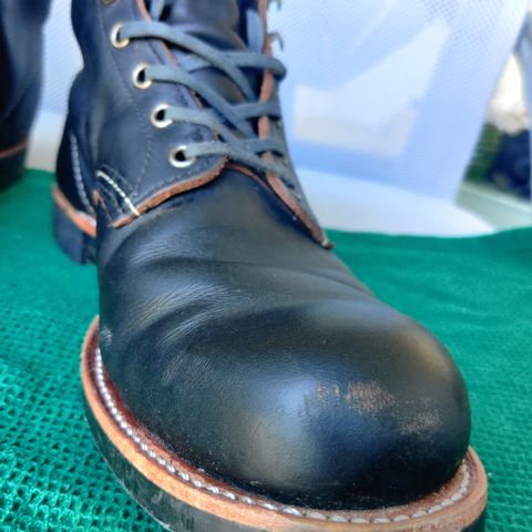 Red Wing Blacksmith in S.B. Foot Black Prairie