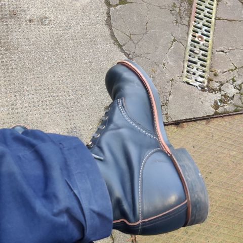 Red Wing Blacksmith in S.B. Foot Black Prairie