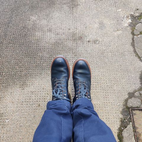 Red Wing Blacksmith in S.B. Foot Black Prairie