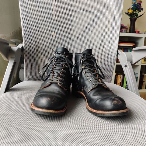 Red Wing Blacksmith in S.B. Foot Black Prairie