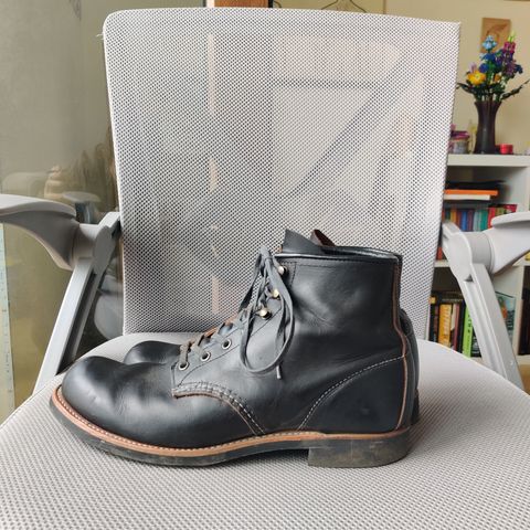 Red Wing Blacksmith in S.B. Foot Black Prairie