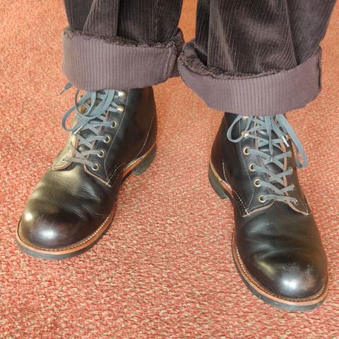 Red Wing Blacksmith in S.B. Foot Black Prairie