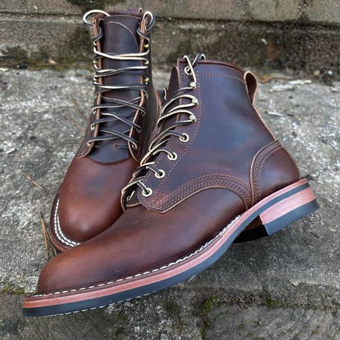 Nicks Falcon in Italian Brown Cypress