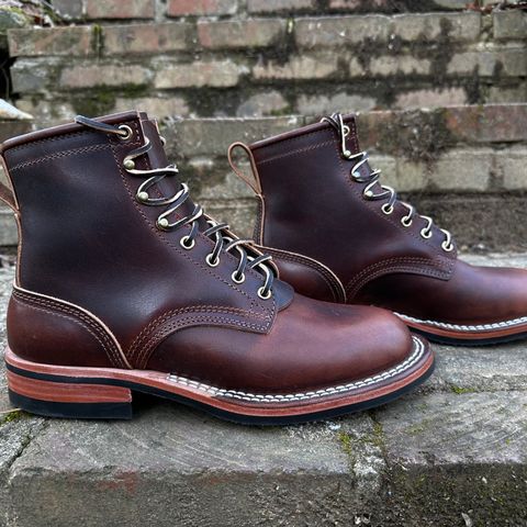 Nicks Falcon in Italian Brown Cypress
