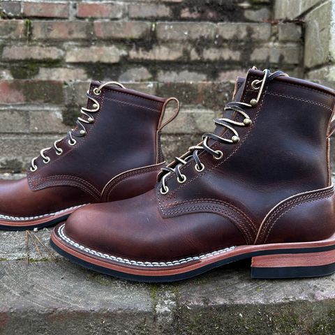 Nicks Falcon in Italian Brown Cypress