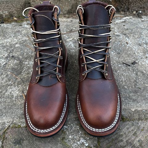 Nicks Falcon in Italian Brown Cypress