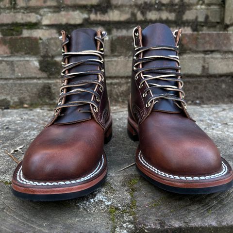 Nicks Falcon in Italian Brown Cypress