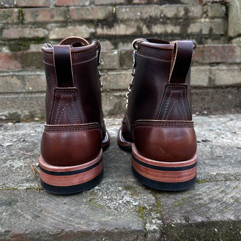Nicks Falcon in Italian Brown Cypress