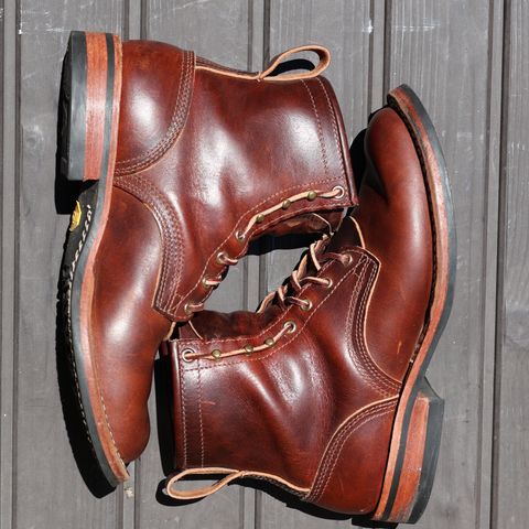 Nicks Falcon in Italian Brown Cypress