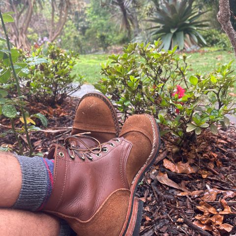 Nicks Americana in Seidel 1964 Brown Roughout & Seidel 1964 Brown