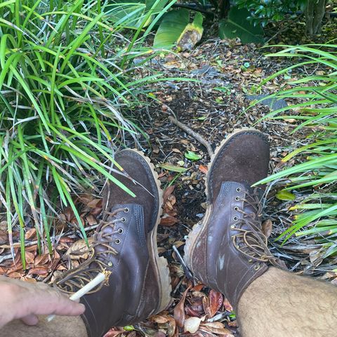 JK Boots O.T. in Seidel Brown Oil Tan & Seidel Brown Oil Tan Roughout