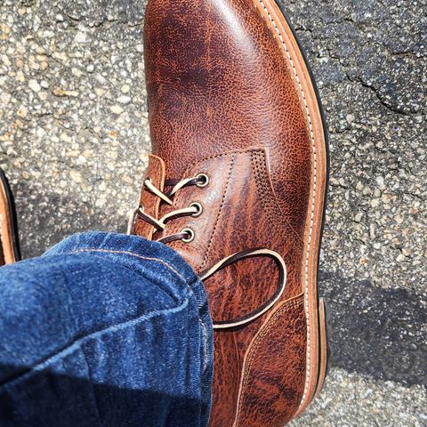 Oak Street Bootmakers Field Boot in Badalassi Carlo Ness