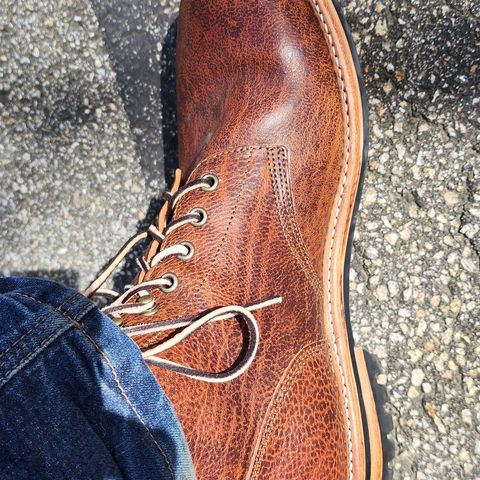 Oak Street Bootmakers Field Boot in Badalassi Carlo Ness