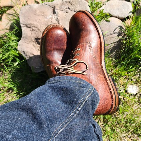 Oak Street Bootmakers Field Boot in Badalassi Carlo Ness